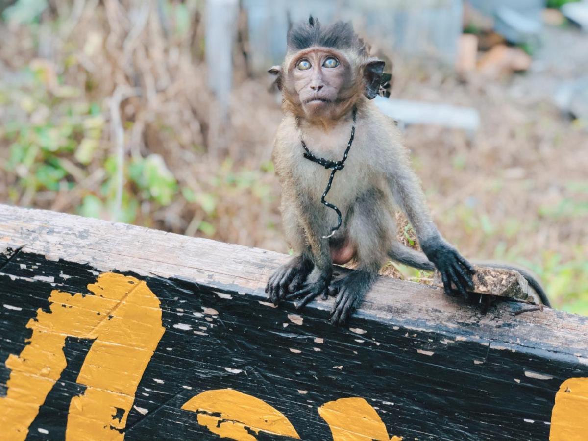 Monkey Bungalow Ko Lanta Exteriör bild